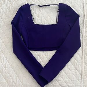 Long Sleeved Purple Crop Top